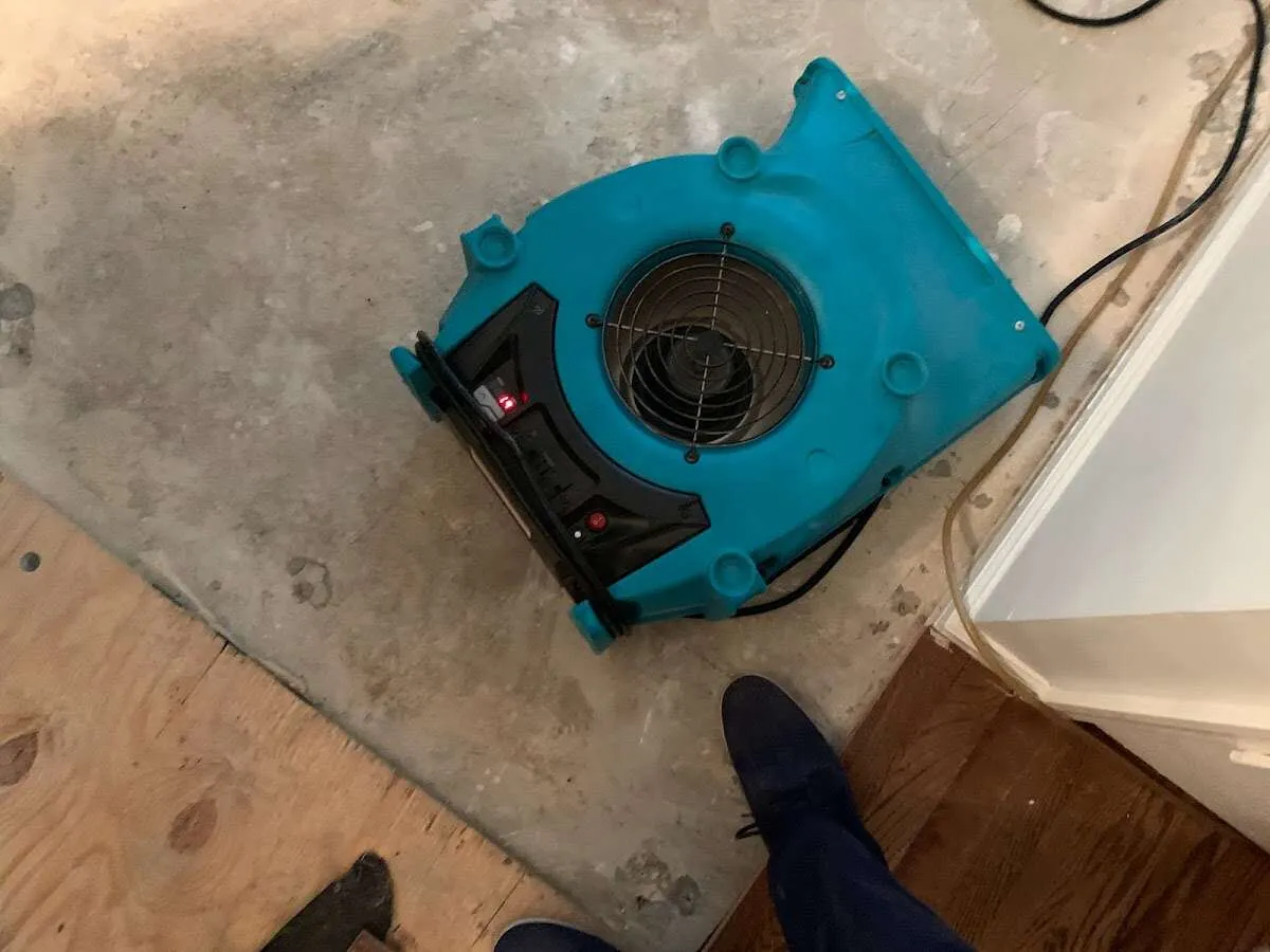 Air mover drying subfloor during Commercial Water Damage Restoration in Maitland